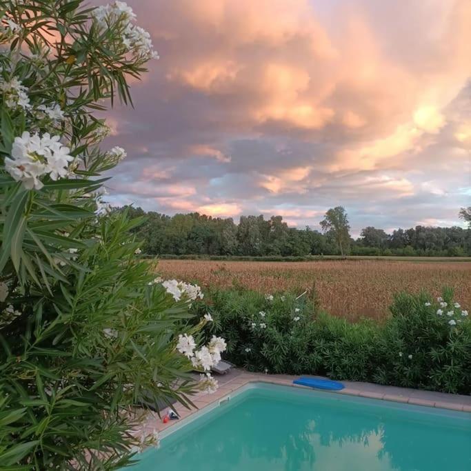 Villa Malisa La Voulte-sur-Rhone Exteriör bild